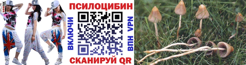 Галлюциногенные грибы Psilocybine cubensis  darknet как зайти  Челябинск 